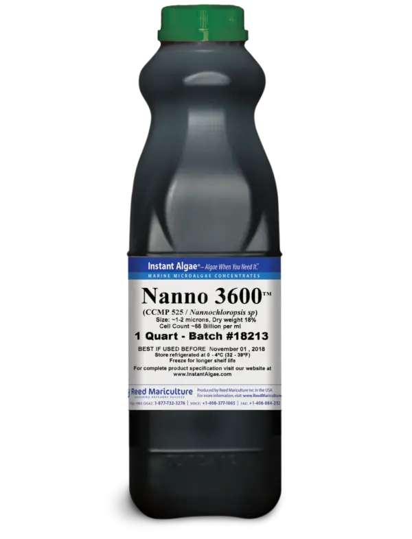 Nanno Paste (Nanno 3600™) – 1 Litre