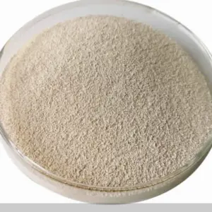 Yeast (Aquaculture Grade) – 500g